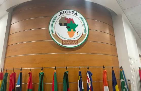 Nigeria’s new continental ambition: Seizing AfCFTA opportunities for growth