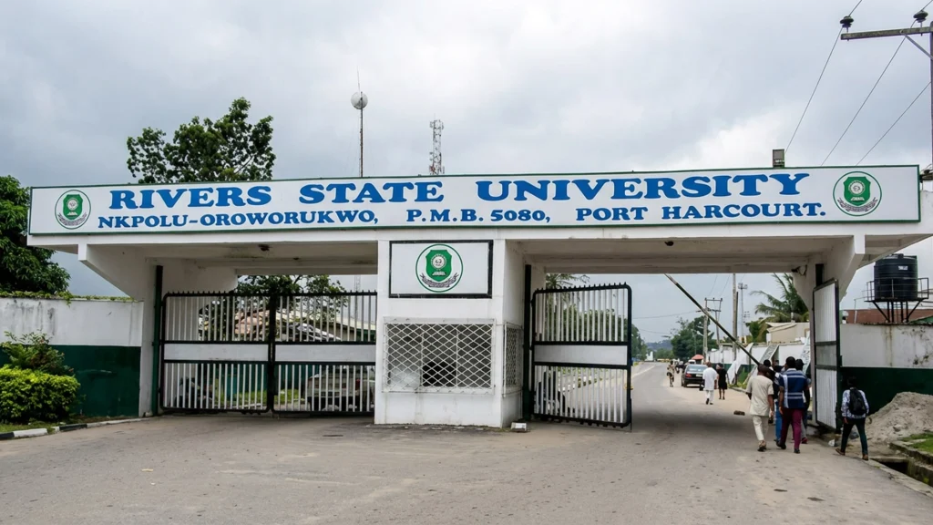 How a campus startup rebuilt Rivers State’s revenue system
