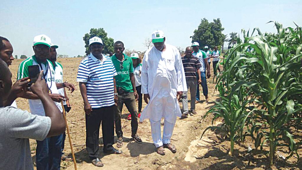 Private Group Backs Nigerian Agriculture